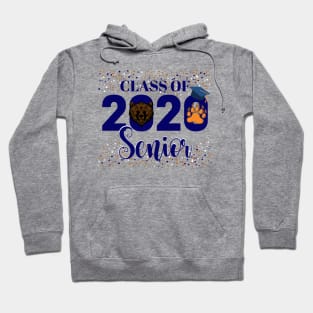 Class of 2020 Seniors Bears Hoodie